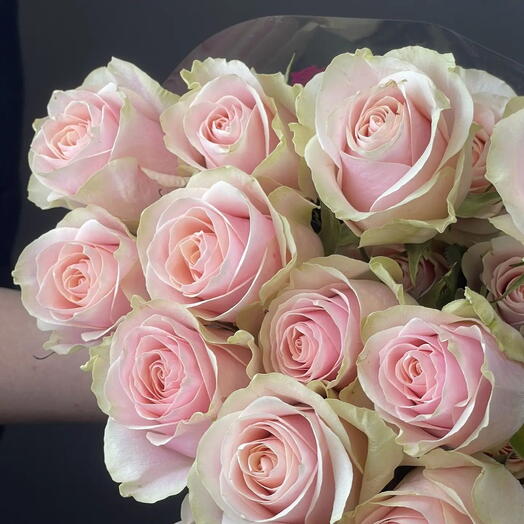 Роза Эквадор, 25 шт