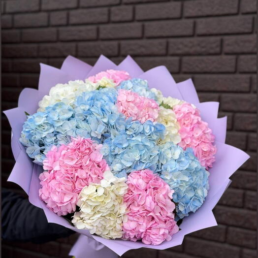Букет из разноцветных гортензий 15 шт 💗