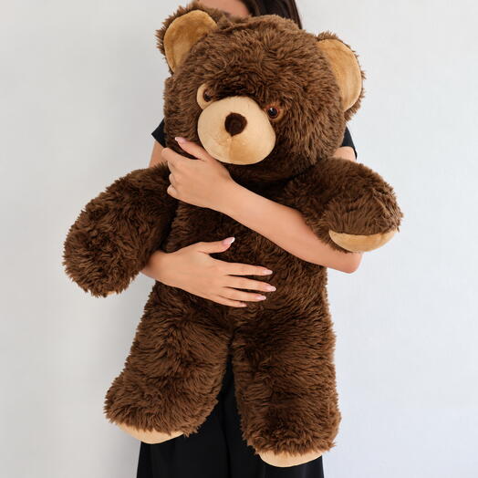 THE BEAR