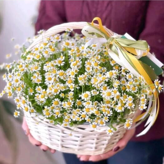 Корзинка с ромашкой