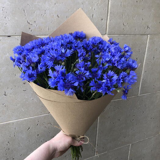 Васильки💐💐💐💐💐