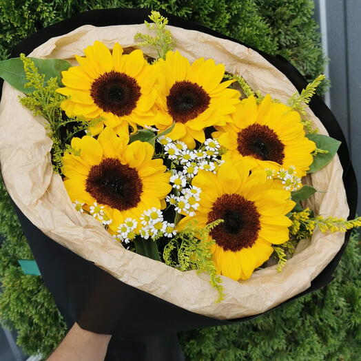 Подсолнухи с ромашкой🌻