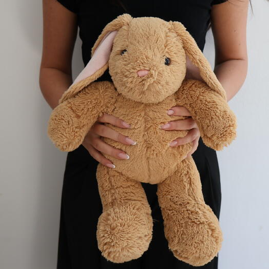 TEDDY BUNNY