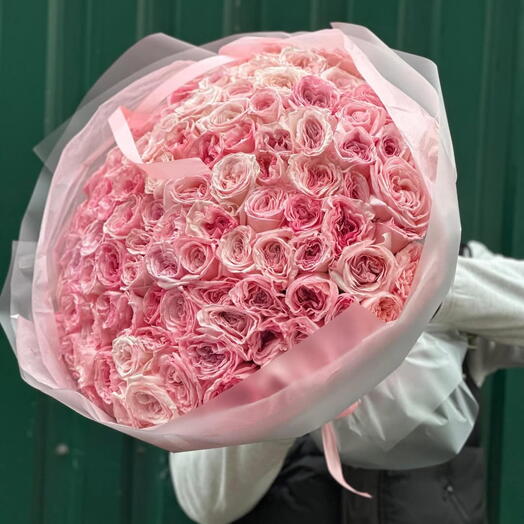 Моно-букет из 75 премиальных садовых роз «Pink O Hara»