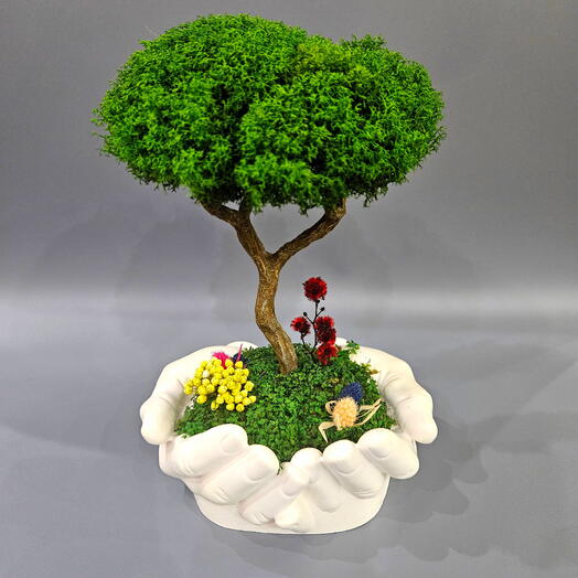 Árbol en la palma