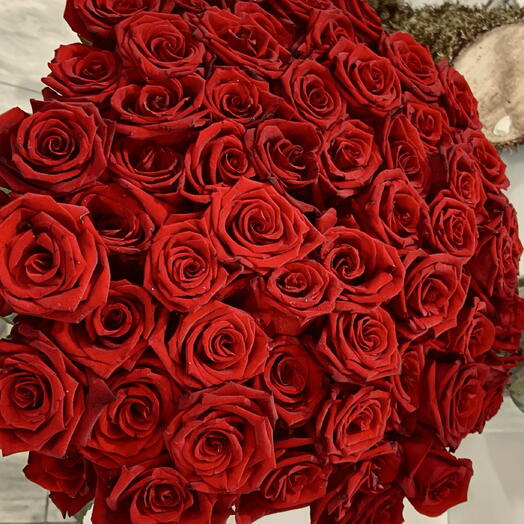 Rose 🌹