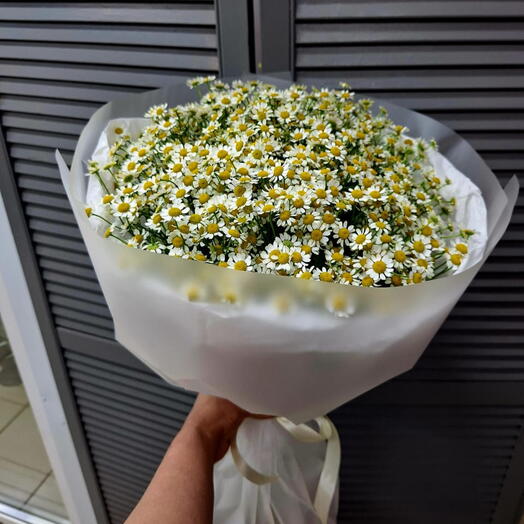 Ромашки из сада