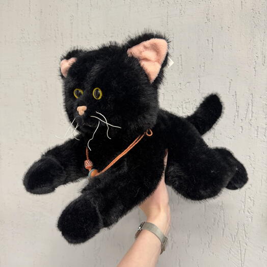 Черная кошечка🐈⬛
