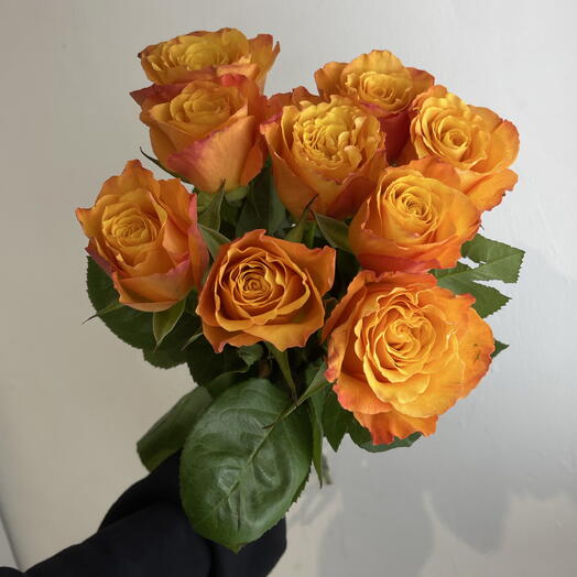 Розы рыжие 🧡9