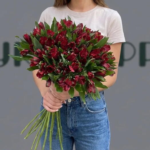 Букет из 15 красных Альстромерий на Ленте