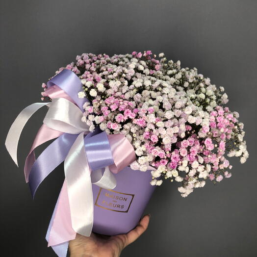 Коробочка пушистых гипсофил🌸🌸🌸🌸🌸