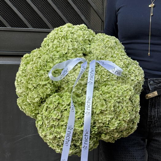 Green hydrangeas mono bouquet