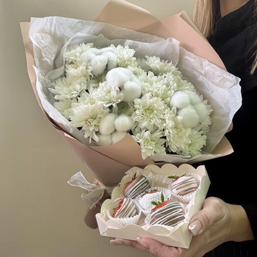 Комбо набор хризантемы + 🎁