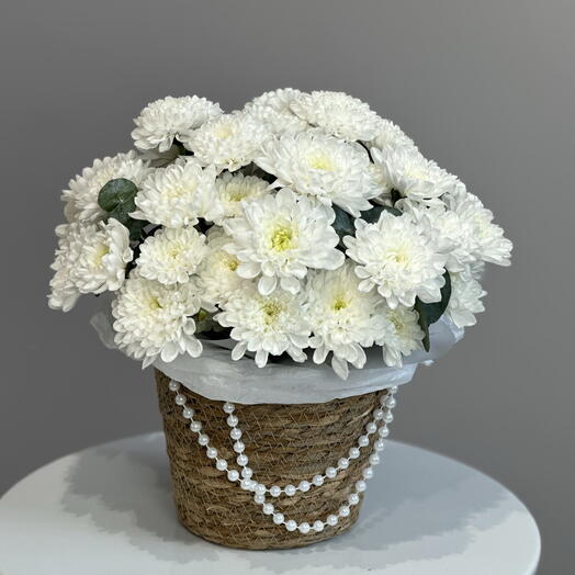 ANMI FLOWERS