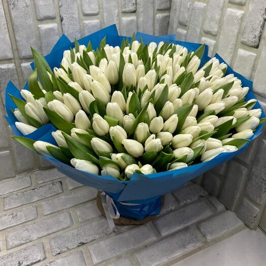 151 white tulips