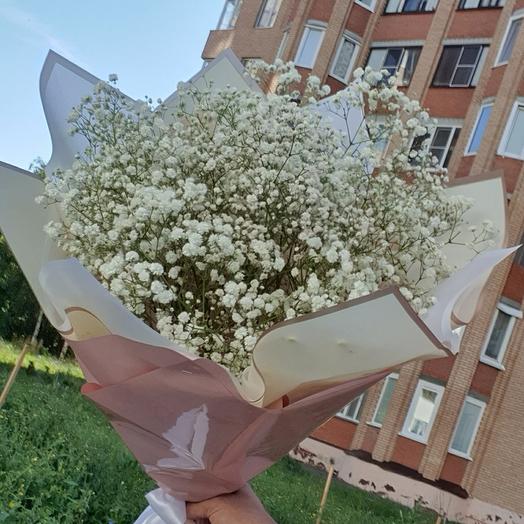 Гипсочка