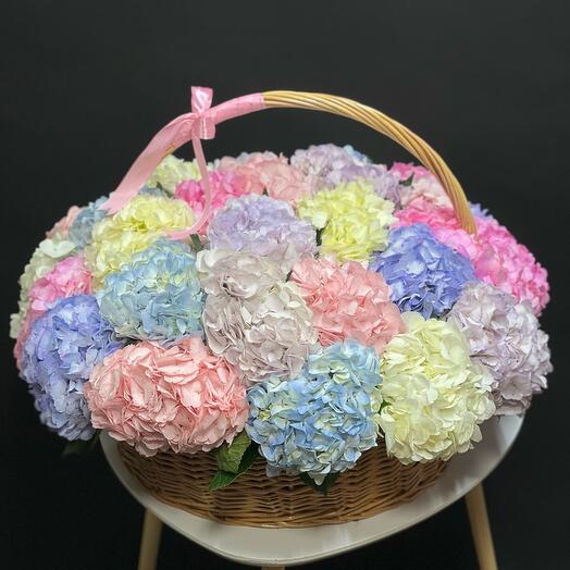 Hydrangeas in the basket