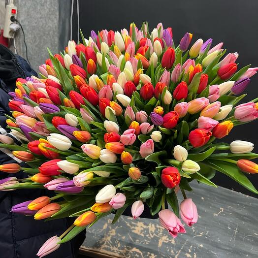 Bouquet of tulips