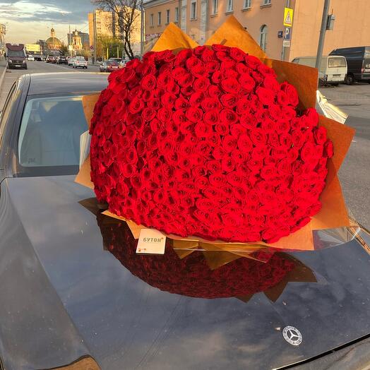 301 pieces of roses