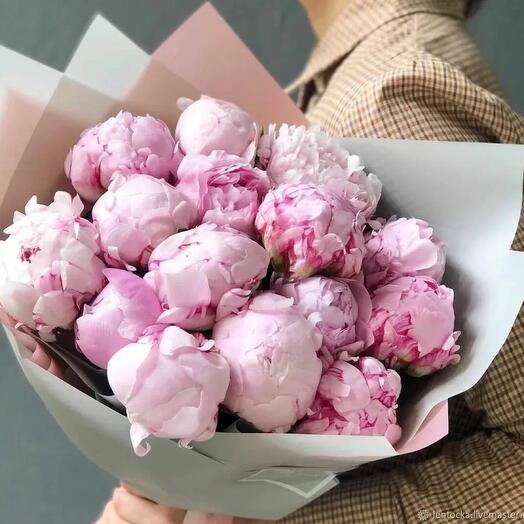 Розовые пионы "Зефир" 15 шт