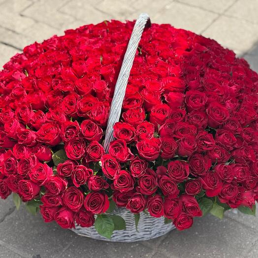 301 rosas en la cesta