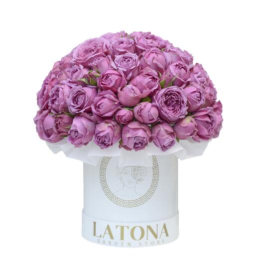 SELENE bush peony roses