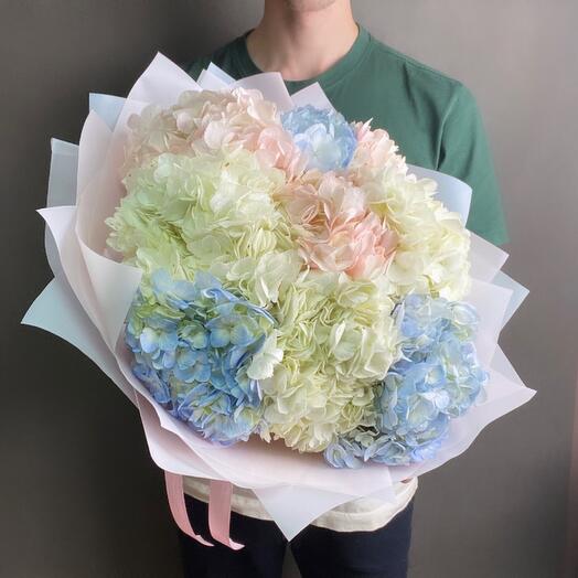 9 hortensias de aire