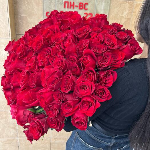101 ROSA ROJA 🌹
