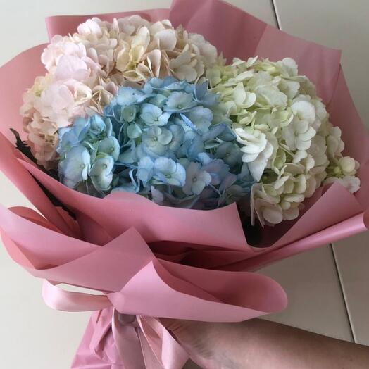 Ramo de hortensias