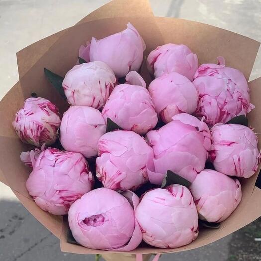 15 peony sarah bernard