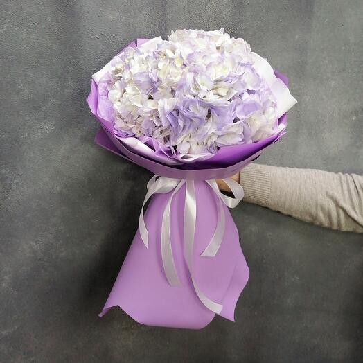 Hydrangea