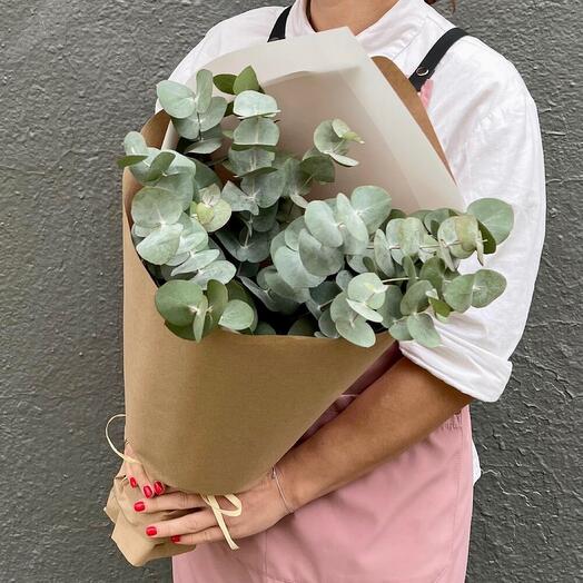 Fragrant Eucalyptus