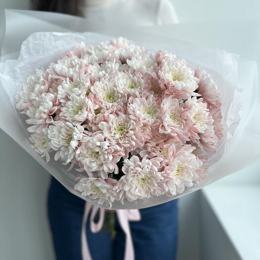 9 rose bush chrysanthemums