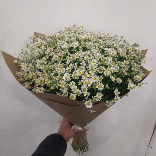 Ромашки