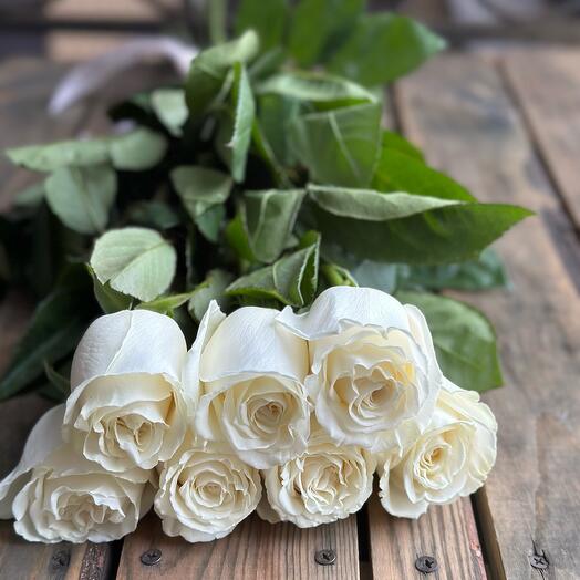 Roses