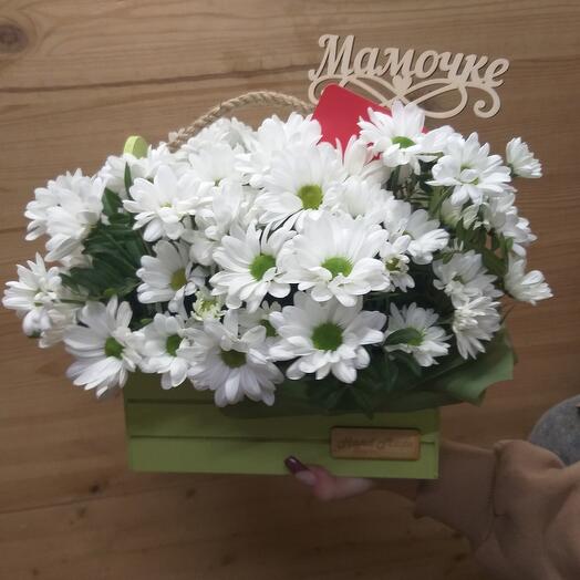 Ромашки в деревянном ящике