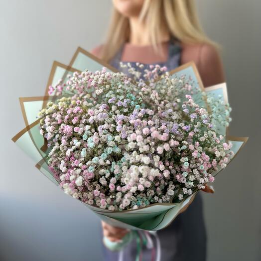 Nube arcoíris de gypsophila