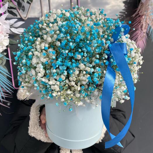 Гипсофила в коробке