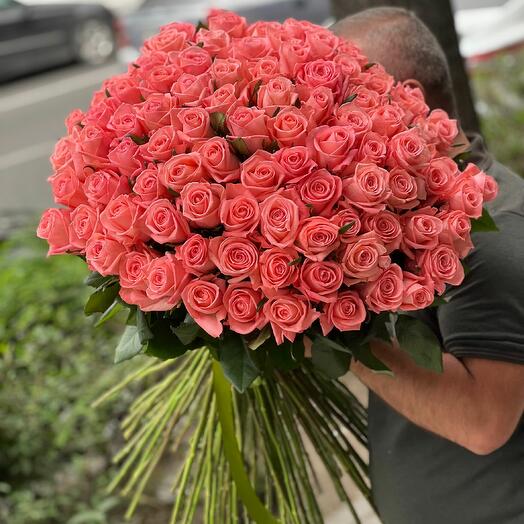 101 rosa Anna Karina