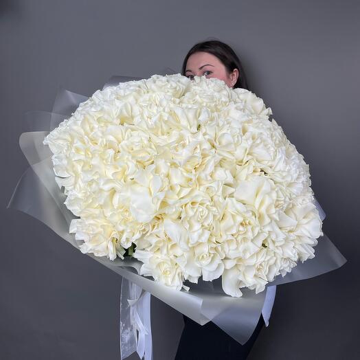 51 White WOW🤍 PREMIUM