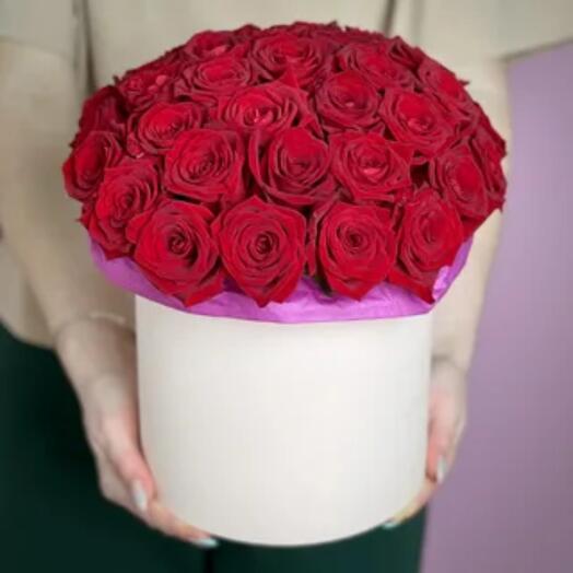 "Red wow" roses