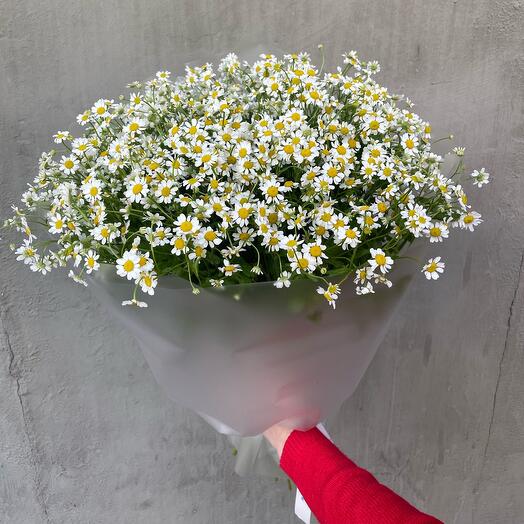 Букет из 19 кустовых ромашек