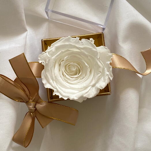 White Rose in a box