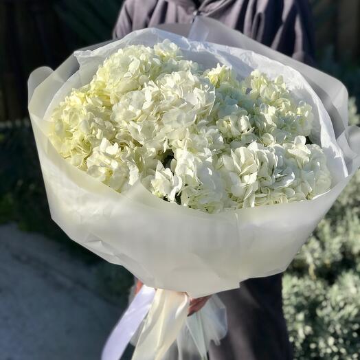 Букет из 7 гортензий белых