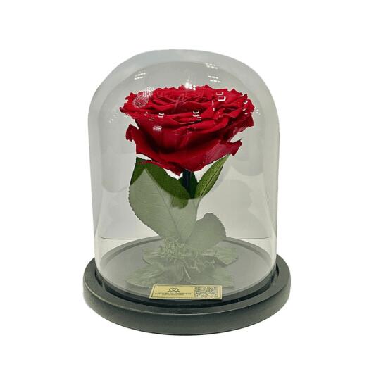 Preserved Rose In A Small Dome – Single