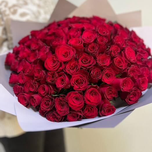 101 роза красная 40 см