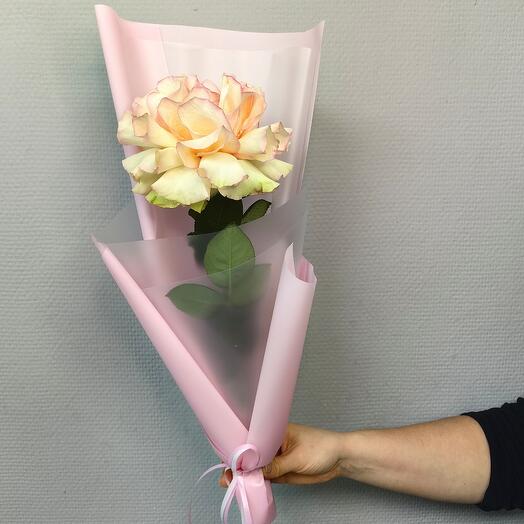A large rose