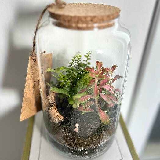 Terrarium