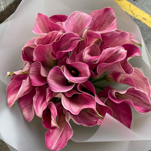 Bouquet of pink calla lilies