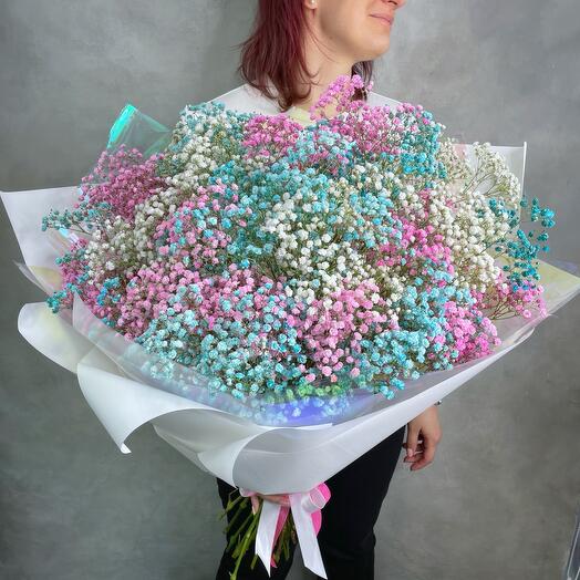 Gypsophila brillante